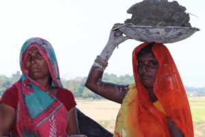 women, smile, village, traditional, indian village, indian woman, indian woman labor, female, india, indian village, indian village, indian village, indian village, indian village